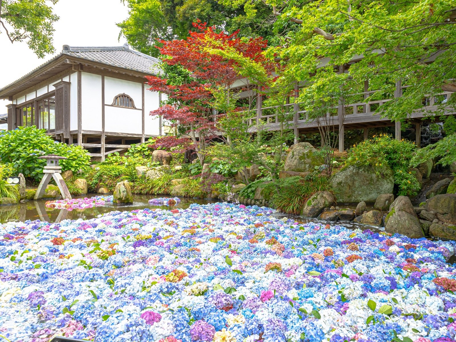 ⛩️ 아마비키 관음(아마비키산 라쿠호지) 이미지 9